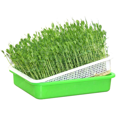 Polystyrene Heat Preservation Plastic Sprouting Trays Nampan Tanaman Hidroponik
