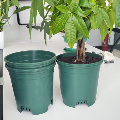 Family Sun Resistant 6 Inch Plastic Nursery Pot Pot Tanaman Bulat 9cm