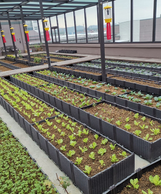 Halaman Belakang 0.5mm-16.0mm Tebal Plastik Taman Planter Box Umur Panjang