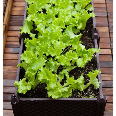 CE ISO9001 Polypropylene Planter Box Plastic Raised Garden Bed Planter Kit