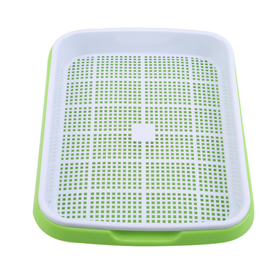 Dapur Bernapas PP Wheatgrass Sprouting Tray Nampan Perkecambahan Hidroponik