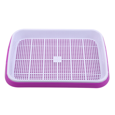 Panjang 31cm Bean Sprout Growing Tray Dua Tray Sprouter Tidak Ada Kebocoran