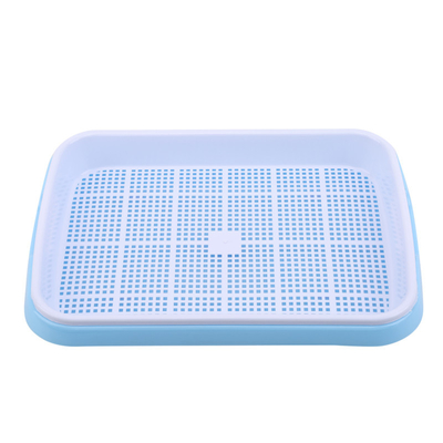 Panjang 31cm Bean Sprout Growing Tray Dua Tray Sprouter Tidak Ada Kebocoran