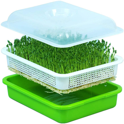 Budidaya Air Dalam Ruangan Polypropylene Seed Sprout Tray Ramah Lingkungan