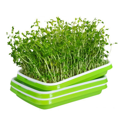 Baki Tumbuh Microgreen PP yang Dapat Didaur Ulang Dengan Tutup Penutup Penggunaan Dapur